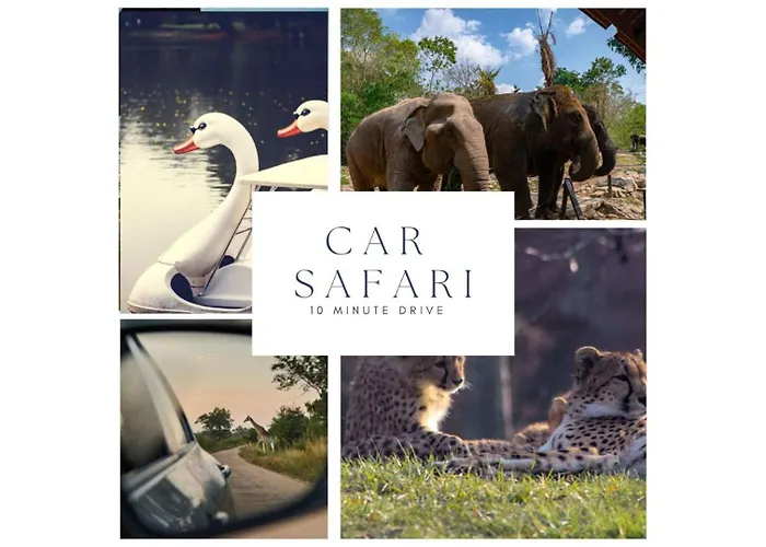 4p, Center, Close To & Station * Tilburg