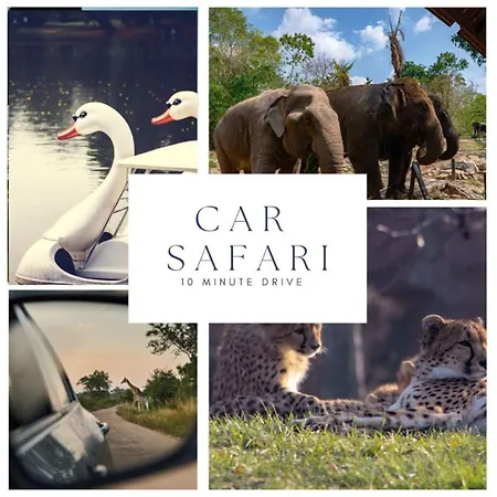 4p, Center, Close To & Station * Τίλμπουργκ